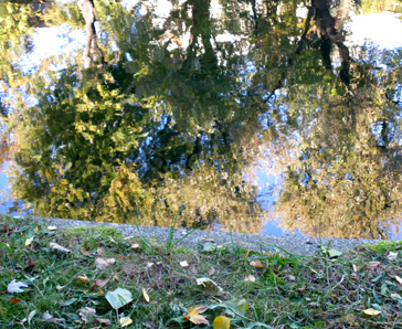 Berlin2011&COPY;ElmarLitza 11 | Reflections